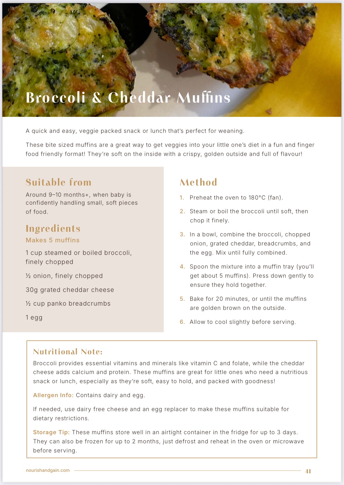 Little & Nourished: Baby / Toddler Recipe eBook and Weaning Guide